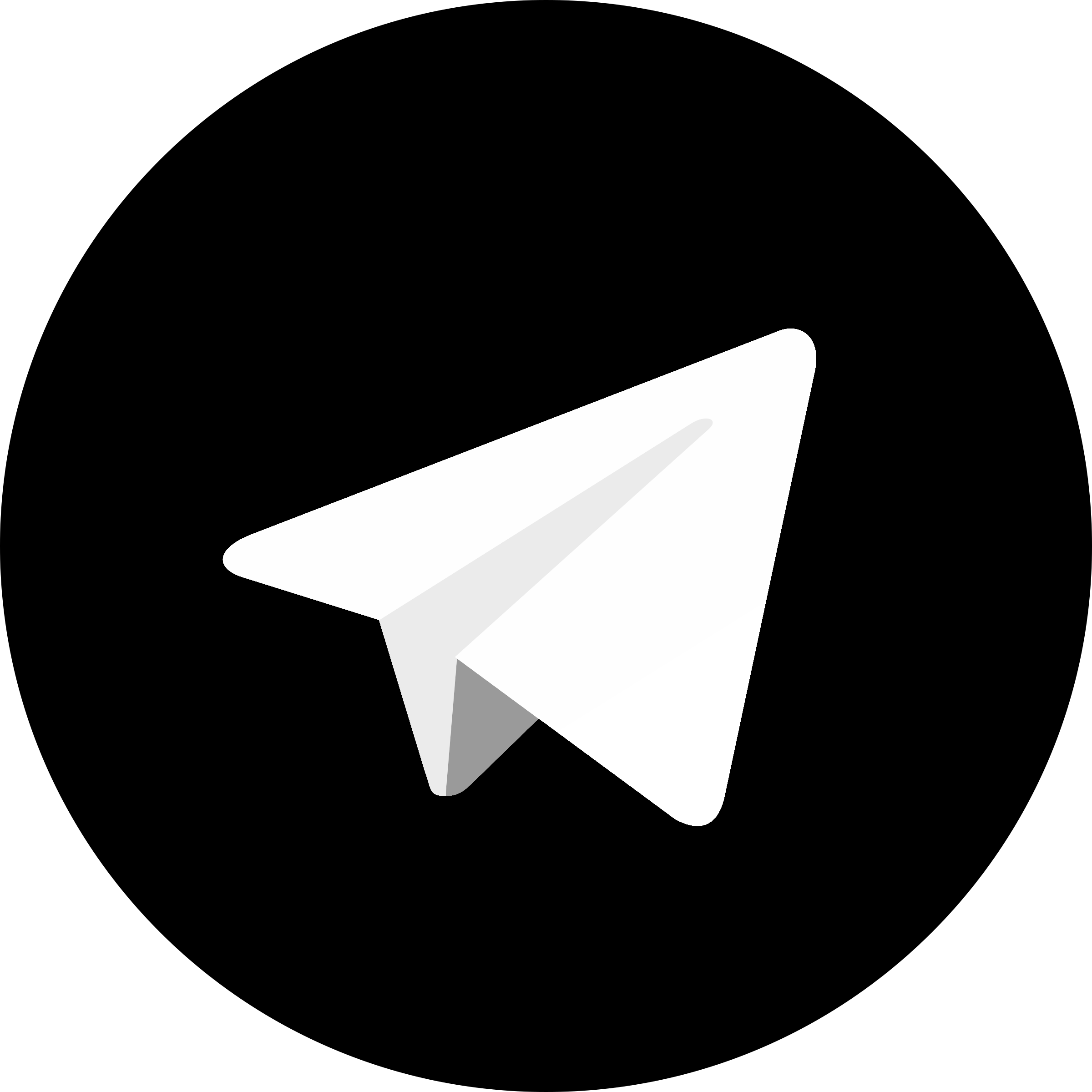 Telegram Logo